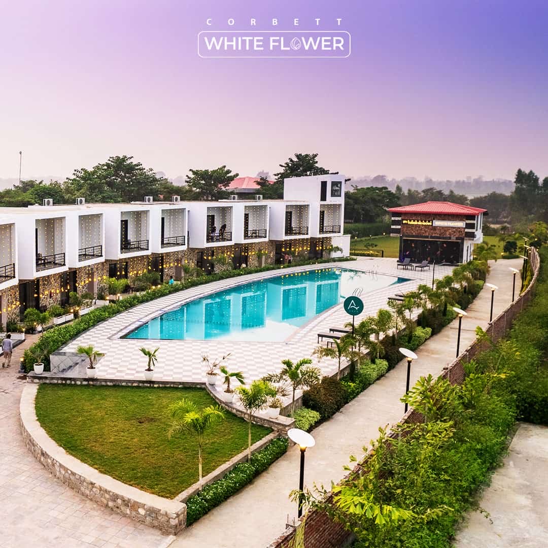 Jim Corbett Night Stay Booking