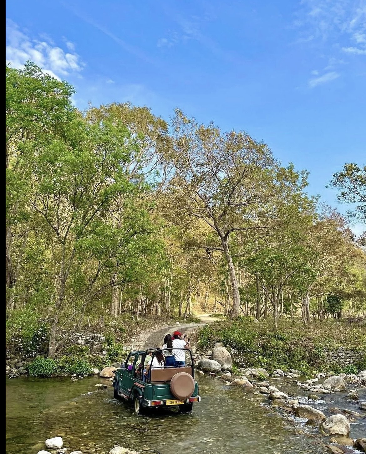 Dhikala Safari Booking