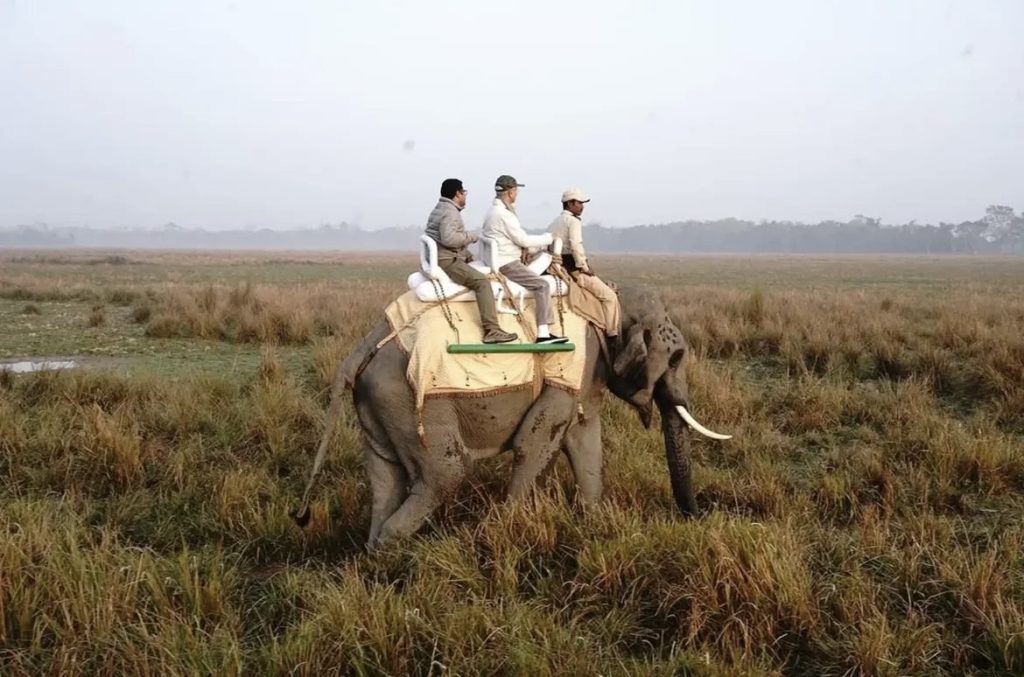 Elephant Safari Booking